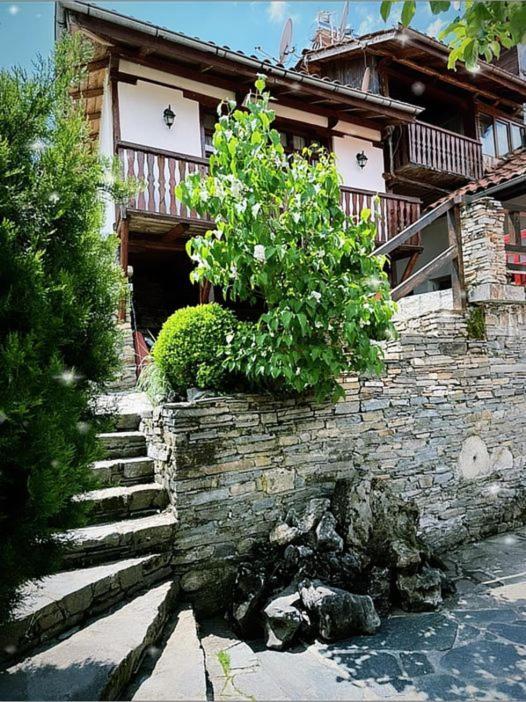 Sharkov Guest House Dolen  Екстер'єр фото