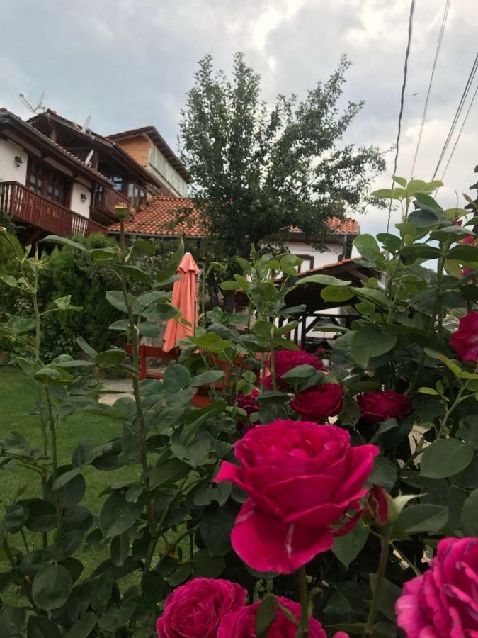 Sharkov Guest House Dolen  Екстер'єр фото